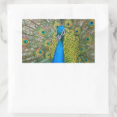 Peacock Blue Head mit bunten Schwanz Feathers Rechteckiger Aufkleber (Tasche)