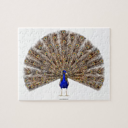 Peacock Blue Puzzle (Horizontal)