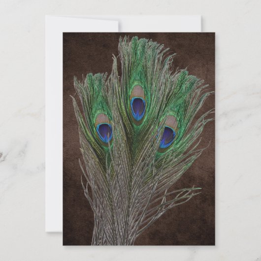 Peacock Boho Country Wood Rustic Wedding Einladung (Rückseite)