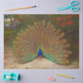 Peacock Boho Decoupage Peacocks Vintag Seidenpapier (Basteln)