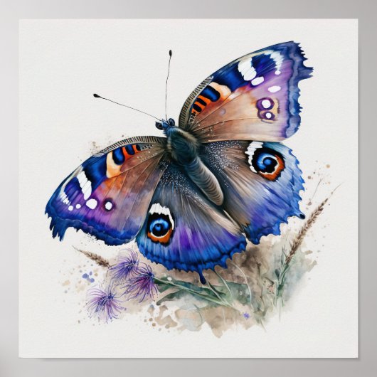 Peacock Butterfly Art Print Poster (Vorne)