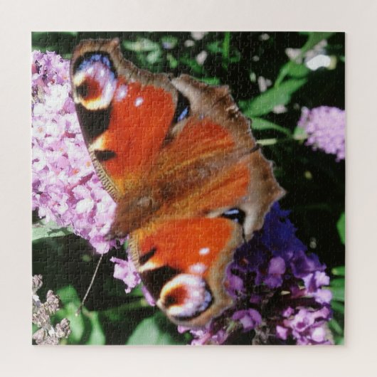 Peacock Butterfly auf Mauve Buddleia Puzzle (Vertikal)