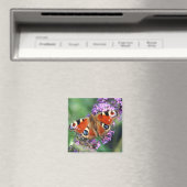 Peacock Butterfly Blume Square Magnet (In Situ (Geschirrspüler))