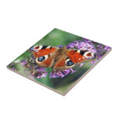 Peacock Butterfly Fliese (Seite)