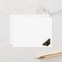 Peacock Butterfly-Karte