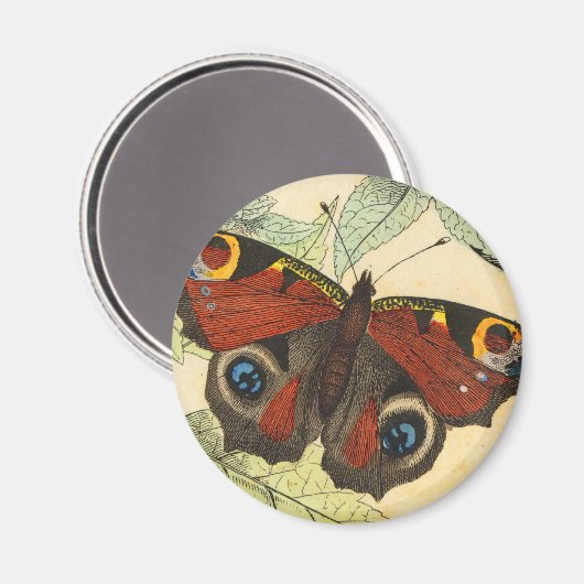 Peacock Butterfly Magnet (Vorderseite/Rückseite)