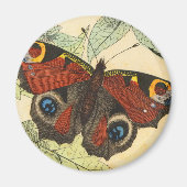 Peacock Butterfly Magnet (Vorne)