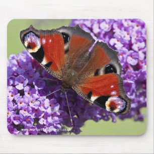 Peacock Butterfly Mousemat Mousepad