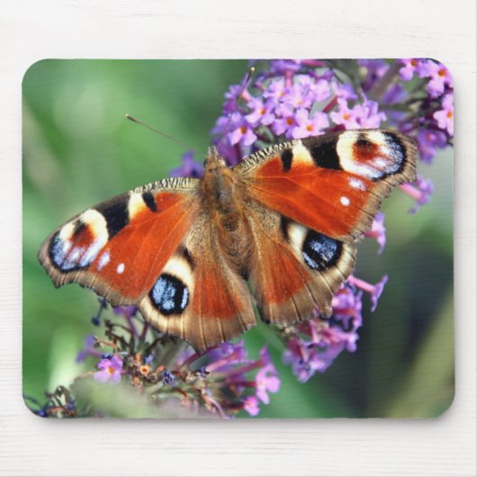 Peacock Butterfly Mousepad (Vorne)