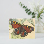 Peacock Butterfly Postkarte (Stehend Vorderseite)