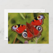 PEACOCK BUTTERFLY POSTKARTE (Vorne/Hinten)