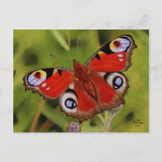 PEACOCK BUTTERFLY POSTKARTE (Vorderseite)