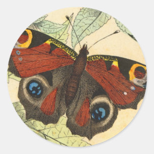Peacock Butterfly Runder Aufkleber