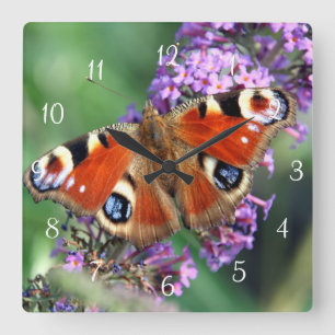 Peacock Butterfly Square Wall Clock Quadratische Wanduhr