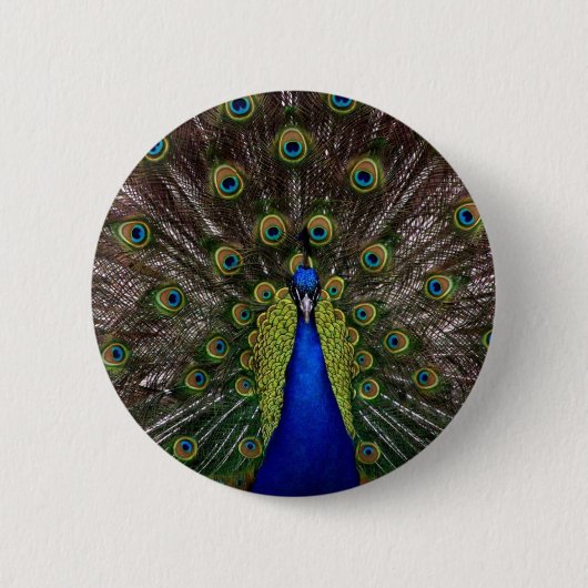 Peacock Button (Vorderseite)