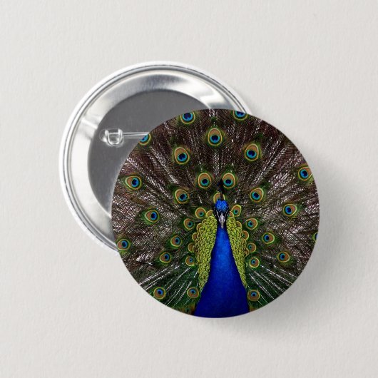 Peacock Button (Vorne & Hinten)