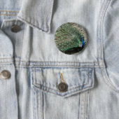 Peacock Button (Beispiel)