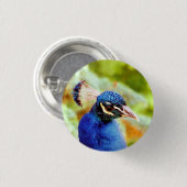 PEACOCK BUTTON (Vorne & Hinten)