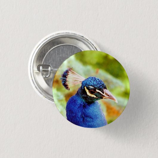 PEACOCK BUTTON (Vorne & Hinten)