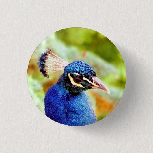 PEACOCK BUTTON (Vorderseite)