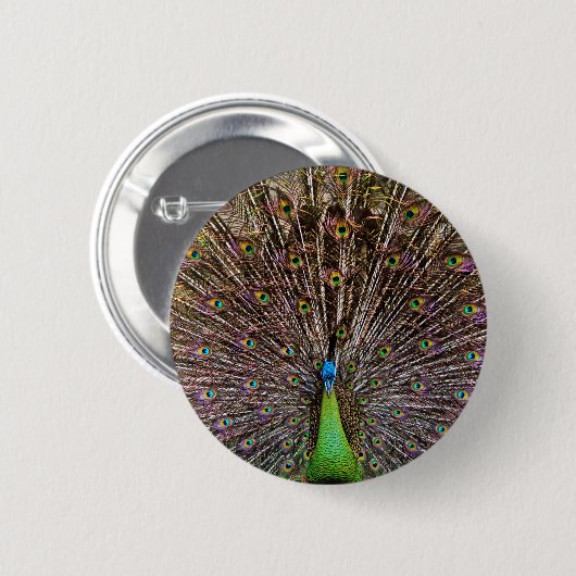 Peacock Button (Vorne & Hinten)