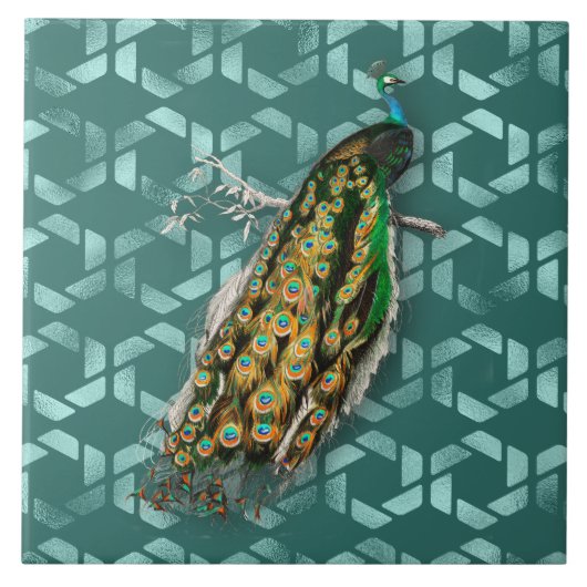 Peacock By D'Orbigny Fliese (Vorderseite)