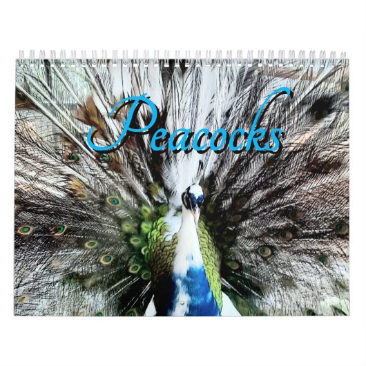 Peacock Calendar Kalender (Titelbild)