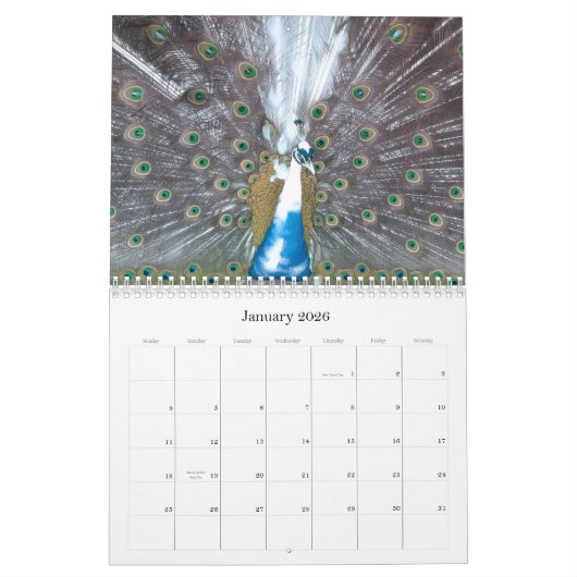 Peacock Calendar Kalender (Jan 2026)