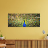 Peacock Canvas Print Leinwanddruck (Insitu (Wohnzimmer))