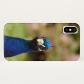 Peacock Case-Mate iPhone Hülle (Rückseite (Horizontal))
