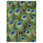 Peacock Clipboard Klemmbrett (Rückseite)