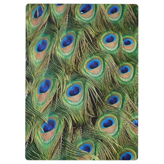 Peacock Clipboard Klemmbrett (Rückseite)