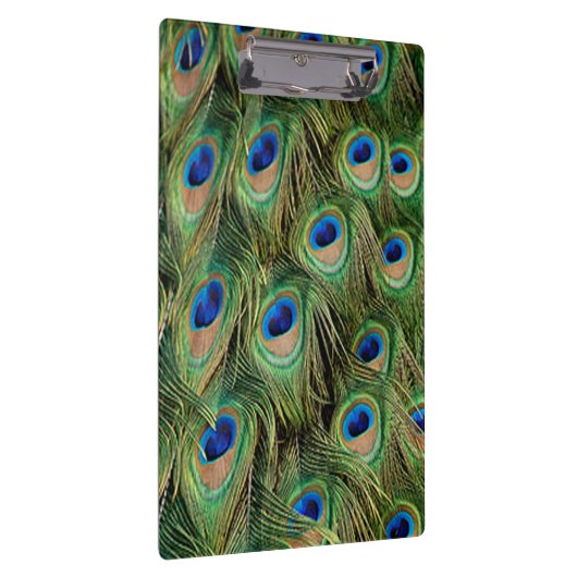 Peacock Clipboard Klemmbrett (Rechts)