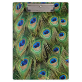 Peacock Clipboard Klemmbrett (Vorderseite)