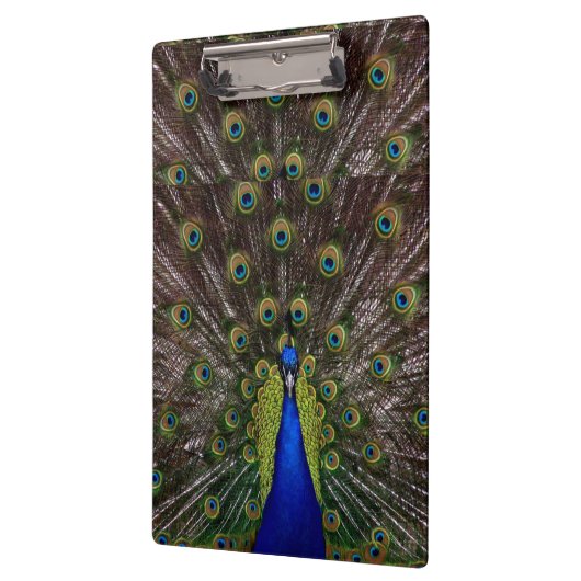 Peacock Clipboard Klemmbrett (Links)