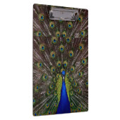 Peacock Clipboard Klemmbrett (Rechts)