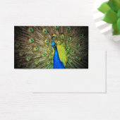 Peacock Color Beauty (Schreibtisch)