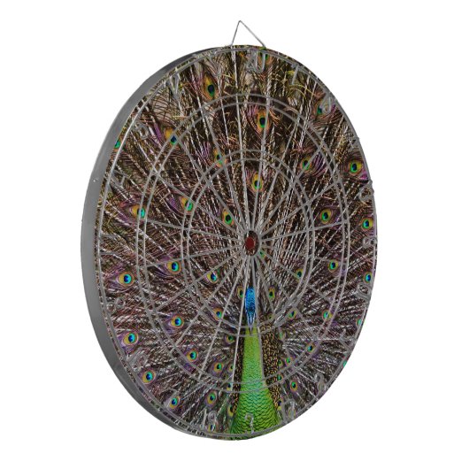 Peacock Dartscheibe (Vorderseite Links)