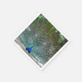 Peacock Design Party Napkins Serviette (Ecke)