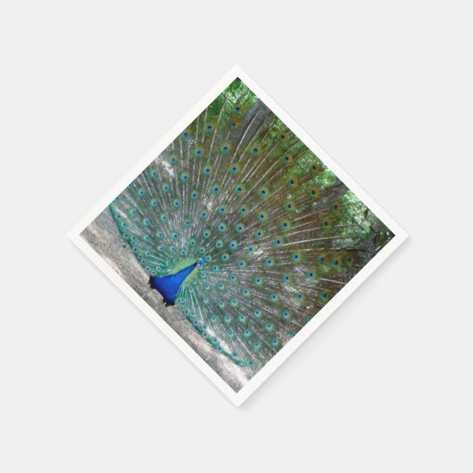 Peacock Design Party Napkins Serviette (Ecke)