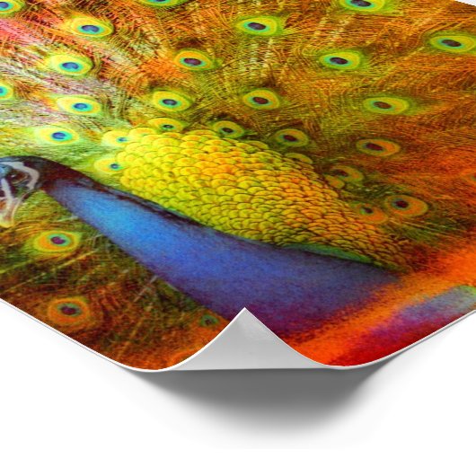 Peacock Digitale Kunst Poster (Ecke)