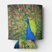 Peacock Dosenkühler (Rückseite)