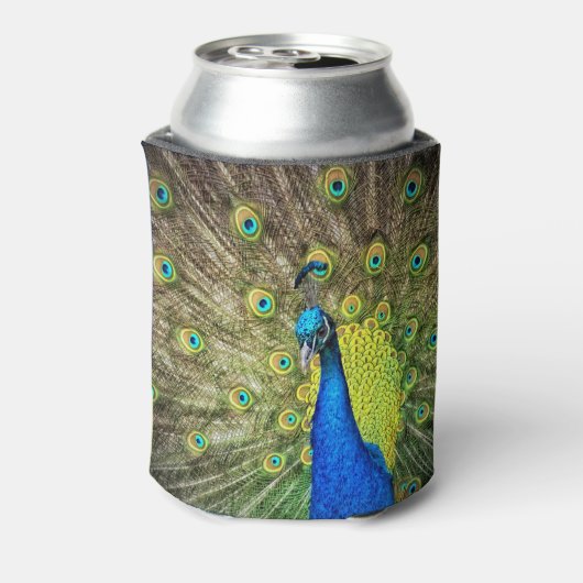 Peacock Dosenkühler (Kanne Rückseite)