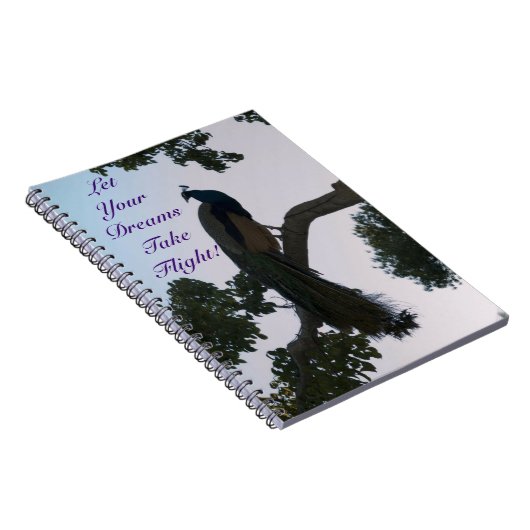 Peacock Dreams Notebook Notizblock (Rechte Seite)