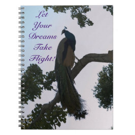 Peacock Dreams Notebook Notizblock