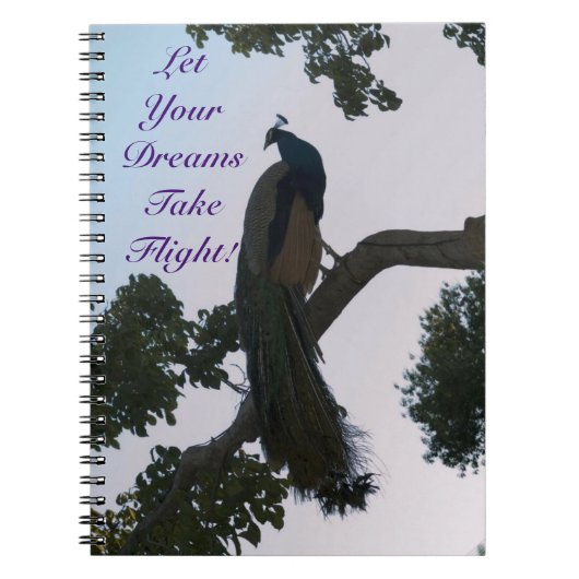 Peacock Dreams Notebook Notizblock (Vorderseite)