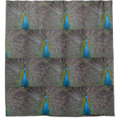 Peacock Duschvorhang (Vorderseite)