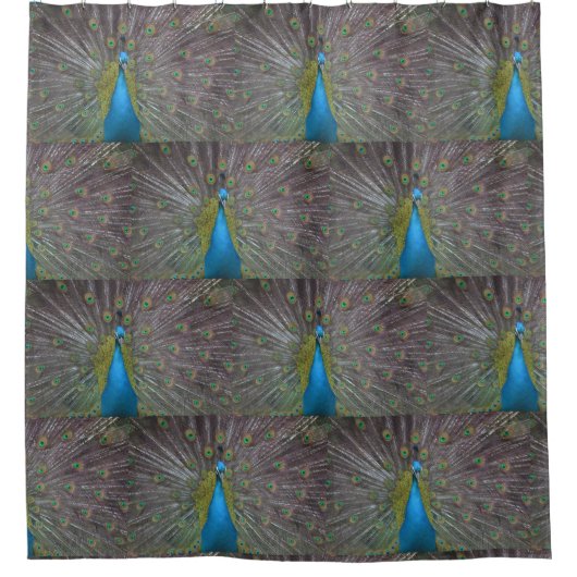 Peacock Duschvorhang (Vorderseite)