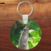 Peacock Eel ‚Elvis‘ Schlüsselanhänger (Vorderseite)