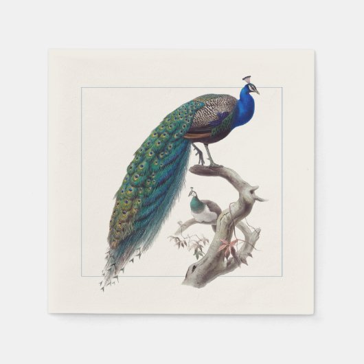 Peacock Elegantes Naturgeschichtspapier Napkins Serviette (Vorderseite)